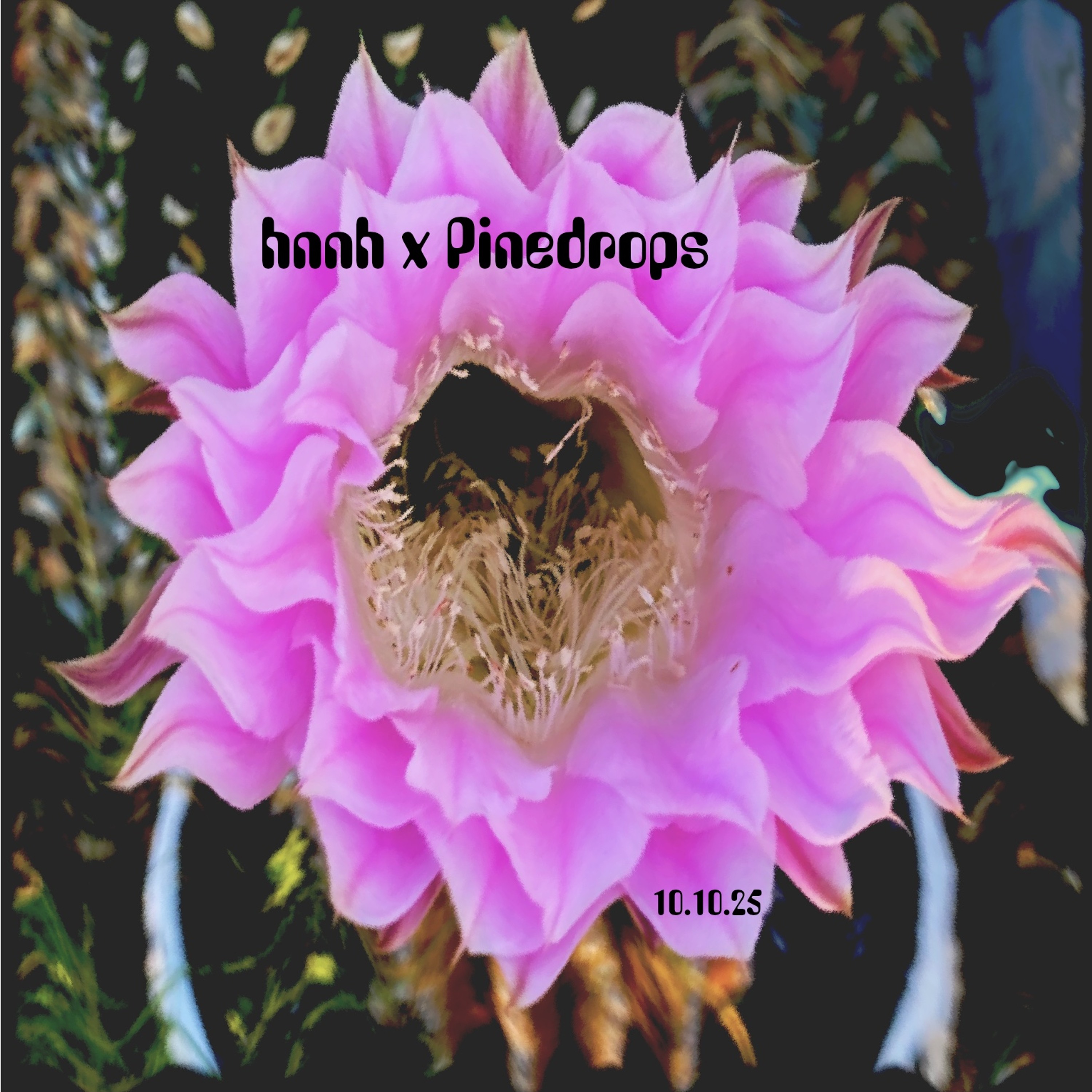 EP 295 - HNNH B2B W/ Pinedrops Live @ Jesters - Starlight Thursdays Episode 295 episode artwork