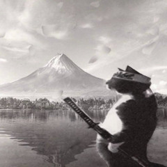 zlly-rocstar shori buena vola