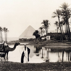 PerauRz - jam Xtrakt