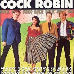 COCK ROBIN - The Promise You Made (Extended Touched By Tony Capucci)