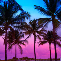 miami(prod.15drtt)