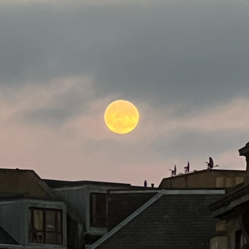 Per La Luna