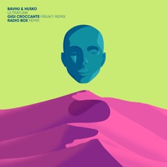 PREMIERE: BAVHU & Husko - Ultrafunk (Gigi Croccante Freaky Remix) [Lisztomania]