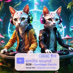 Catgroove Chronicles  - B2B Santiago Garcia