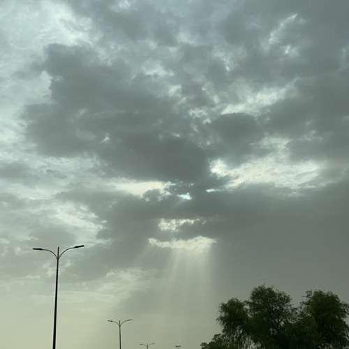 شمس العصر -  بطئ