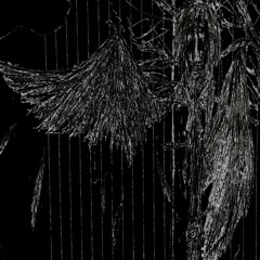 poison tree [rain]