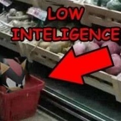 trees ii - mccafferty