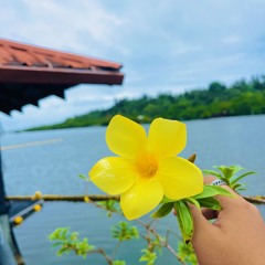 Ekiekumw - (BRADDAH TiPETA)