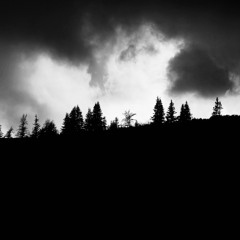 Trenchcast 57