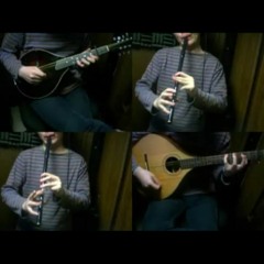 まど☆マギ「営業のテーマ（仮）」をアイリッシュ楽器等で演奏してみた