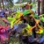 Artwork for Safari Dragonfly Festival 2022 - Sunday Morning Set
