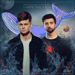Mike Williams & Jonas Aden - I Hope You Know (WHALES Remix)