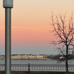 crazy introduction (003tiago)