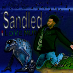 " Sandled " by Steve Koiler & Mudoch Houze