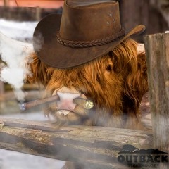 DLCK & TACXIN - COUNTRY BULL Prod 400maxim