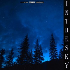 SIDRENCHIK - In the Sky
