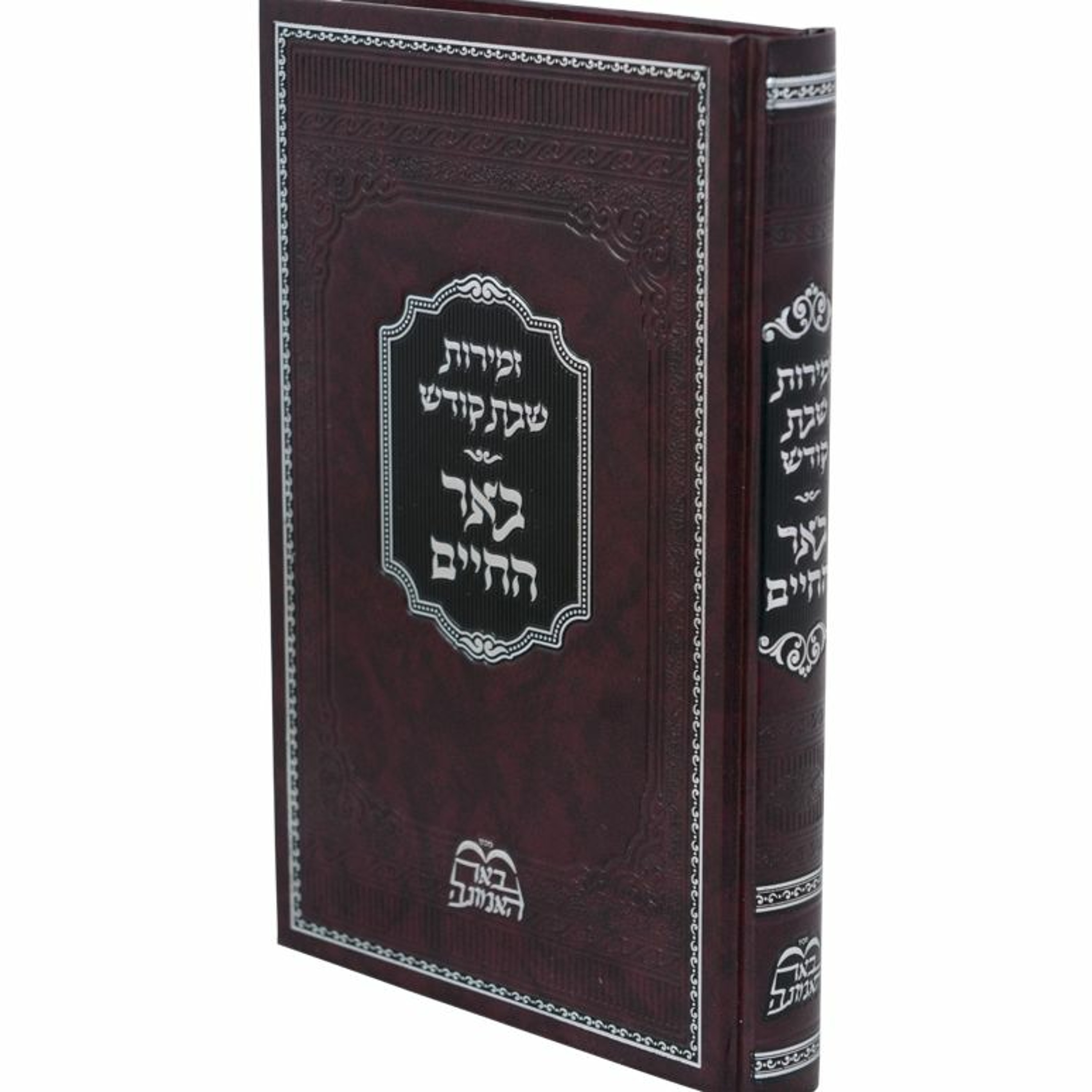 Rav Shlomo Katz