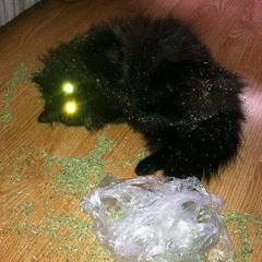 не курю prod. bonzer300