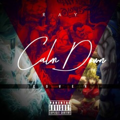 Ray - Calm Down (Cover).mp3