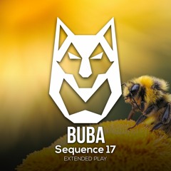 PREMIERE: Buba - Sequence 17 (Original Mix) [I AM DIFFERENT]