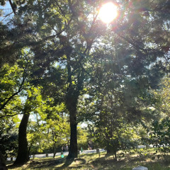 2024.6 for drive&cokking