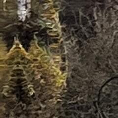 too far out on the ice (sketches)