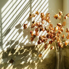 i.w.s (an alternate ending)