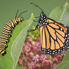 NEED YOU X ATHALEYAH