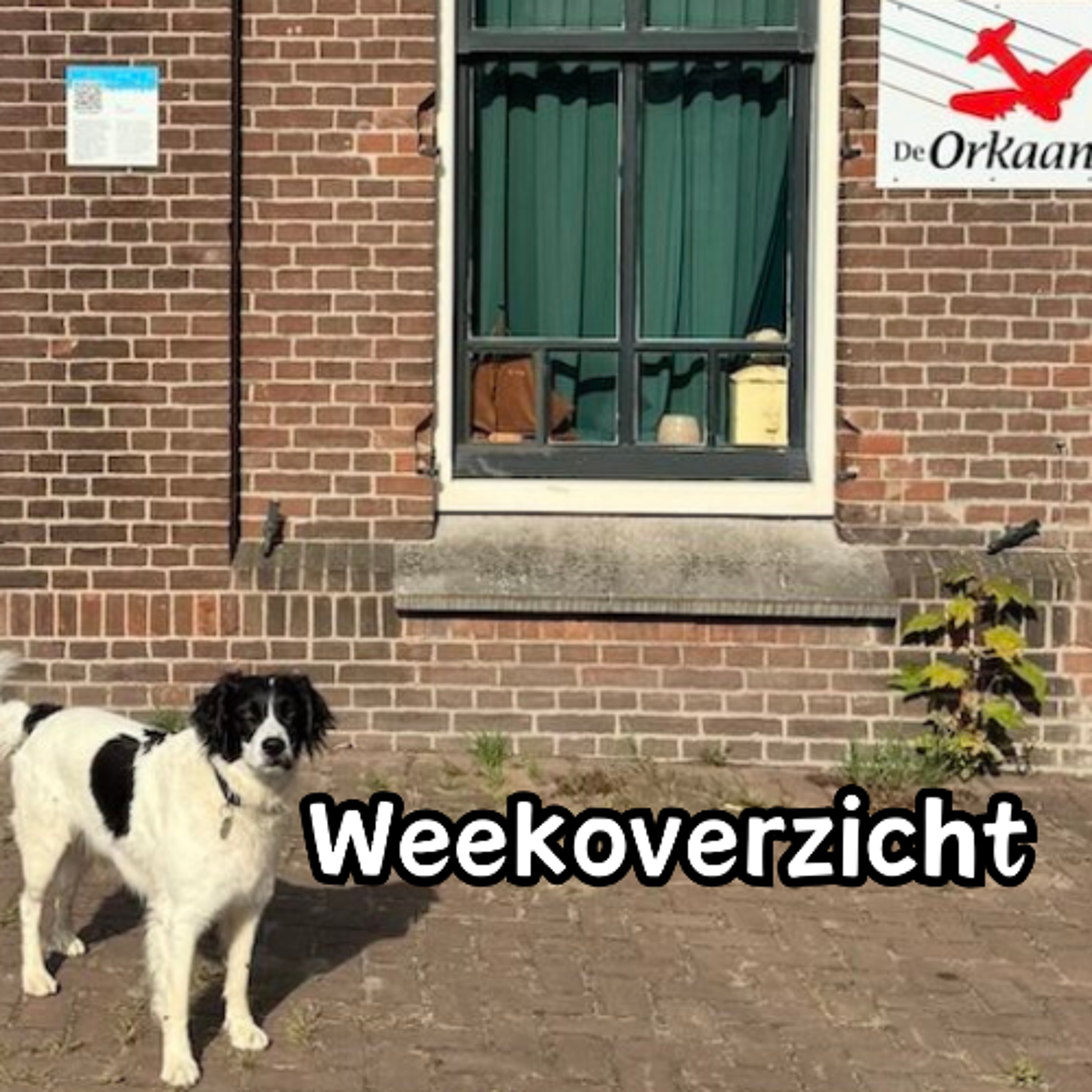 De Week van De Orkaan - Afl. 26 - 4 juli 2026