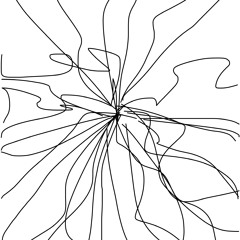 INPW 2
