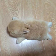 =( + желание (p/ abyss33)