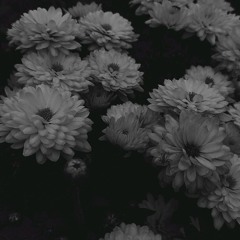 #004. [ LIVE REC ] /// hypnotic techno _ mimimi.