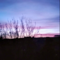 some place