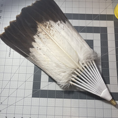 quentin rufus & Geronimo powless @ oneida WI