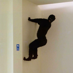 The “Cursed Image Dealer”