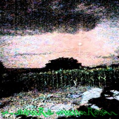 gnarled 2013.shn [dj kislota]