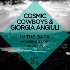 In the Dark (Acumen Remix)