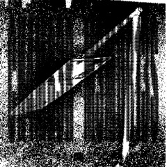 DNTWNAG02SK00L