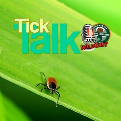 TW 381 - Tick Talk