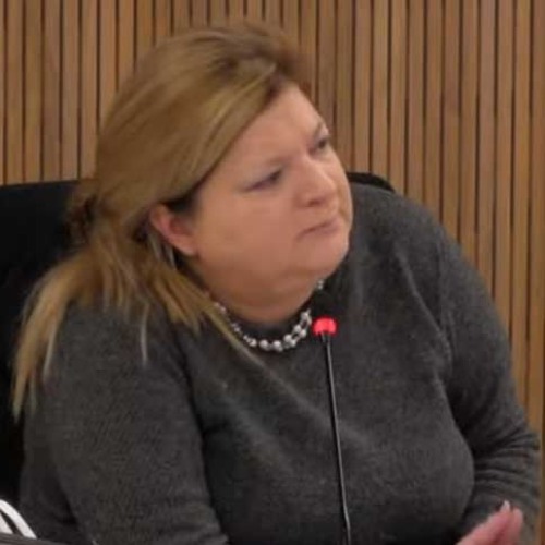 Alida Ferreyra . Diputada Nacional