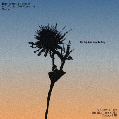 More Poetry Is Needed w/  Mark Toal-Lennon (Nóisin Collective)| May 17th 2025 | Stranded FM