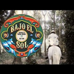 Bajo El Sol - Homer el Mero Mero