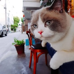 연남: 배추와? 나가서 오빠랑 드라이브 할래? (그윽)
