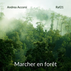 Marcher en forêt