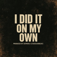 DcaeserBeatz X Dsparkz  - i Did It On My Own