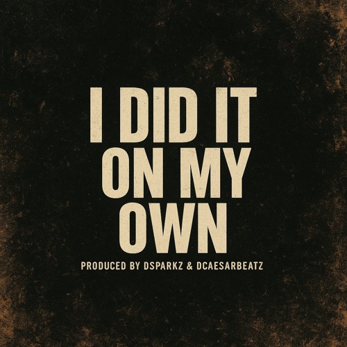 DcaeserBeatz X Dsparkz  - i Did It On My Own