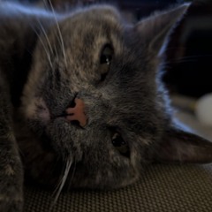 Pillow Thoughts (MF Doom Beat)