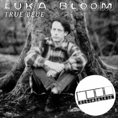 Luka Bloom | True Blue (rool Remake)