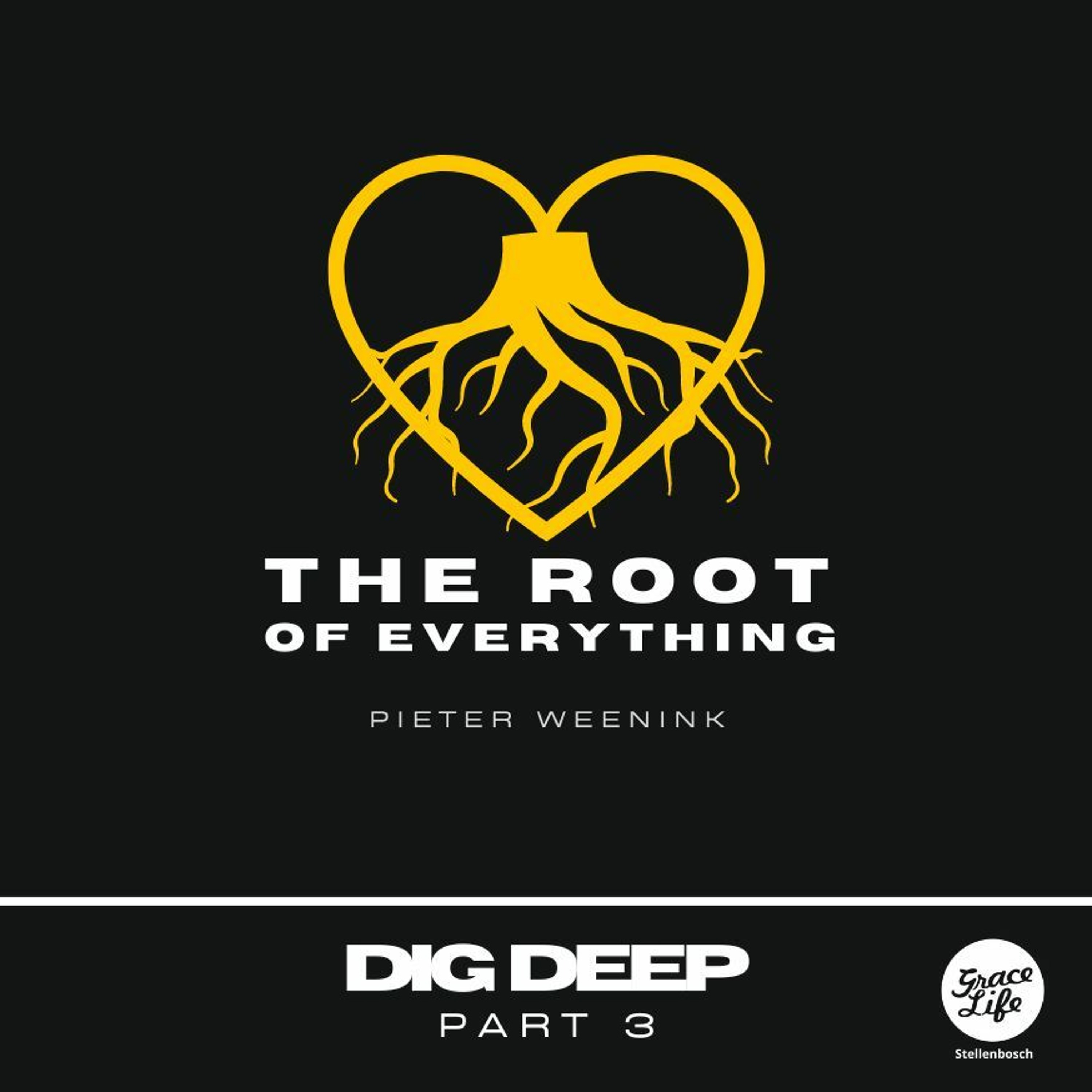 Dig Deep - Part 3 - The Root Of Everything - Pieter Weenink(Stellenbosch)