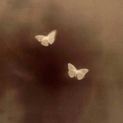 tuyo es el reino - averly morillo (sped up)